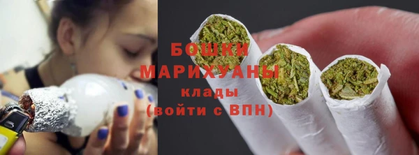 шишки Мегион