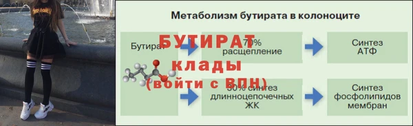 шишки Мегион
