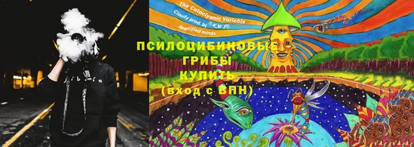 молекула духа Майский
