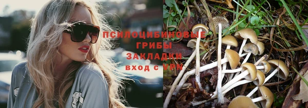 молекула духа Майский