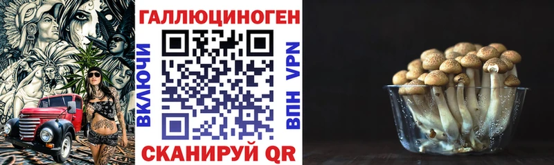 что такое   MEGA ссылка  Псилоцибиновые грибы мицелий  Игарка 